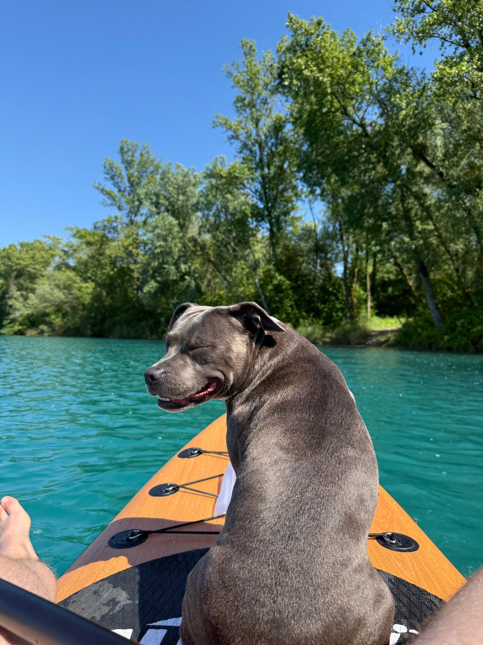 Rubi auf dem SUP