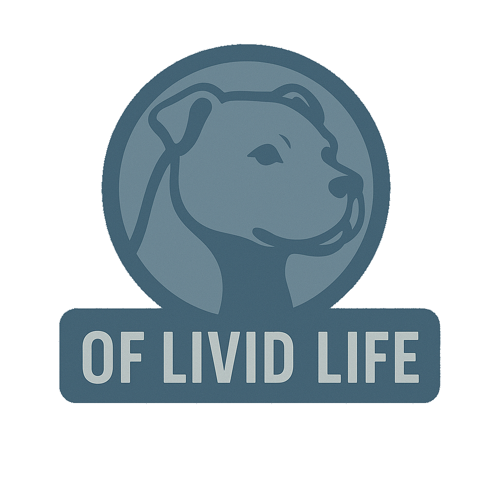 of Livid Life Logo